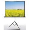 Tripod Projector Screen
