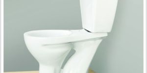 Iranian Water Closet