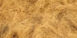 Coir Fibre