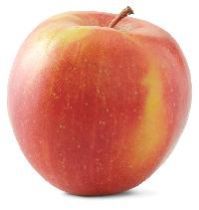 Fuji Apple