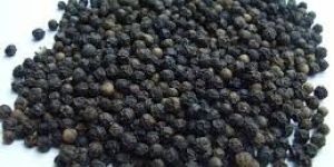Black Pepper Seeds