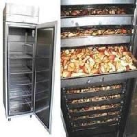 Vegetable Dryer