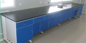 Laboratory Wall Bench