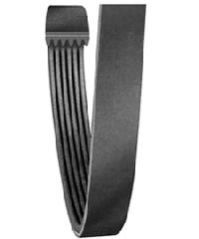 Rib Belt