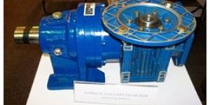 Worm Gear Motor