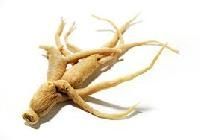 Ginseng Root
