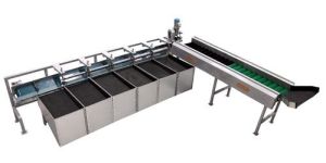 Type 2 Apple Grading Machine