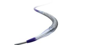 Elite Peripheral Stent