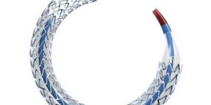 Promus Element Monorail Stent