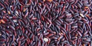 Purple Rice