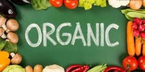 Organic Food