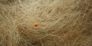 Coir Fibre Bales