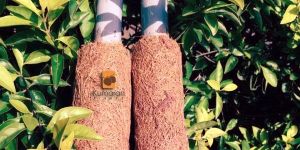 Coir Poles