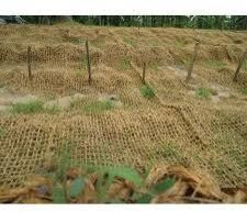 Coir Geotextile
