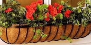 Coir Planters