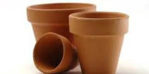 Terracotta Cups