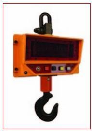 Industrial Crane Scale