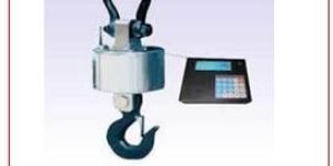 Wireless Transmission Crane Scale