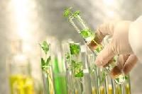 Plant Tissue Culture