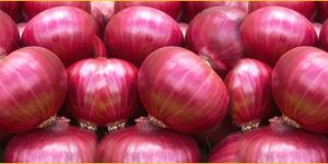 Fresh Onion