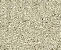 Exterior Texture Paint