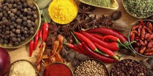 Indian Spices