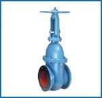 Gate Valve