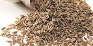 Cumin Seeds