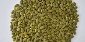 Pumpkin Seeds