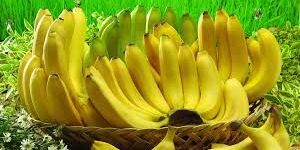 Fresh Banana