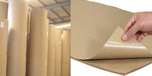 Plain Poly Coated Paper