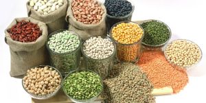 Indian Pulses