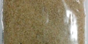 Banyad Millet - Jhangora - Kudhiraivali