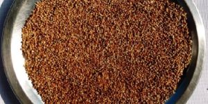 Red Millets