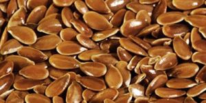 Flax Seeds