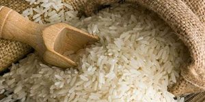 Organic Rice