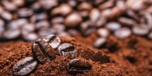 Coffee Powder