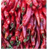 Dried Red Chilli