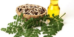 Moringa Oil