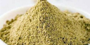 Moringa Seed Powder