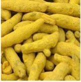 Turmeric Finger