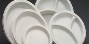 Thermocol Paper Plates