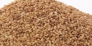 Roasted Sesame Seeds