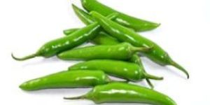 Fresh Green Chilli