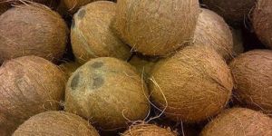 Full Husked Coconut