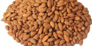 Kashmiri Almond Kernels