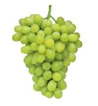 Thompson Seedless Grapes