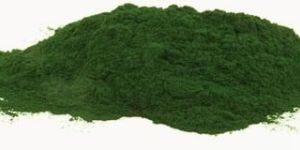 Spirulina Powder