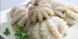 Frozen Whole Cleaned Octopus