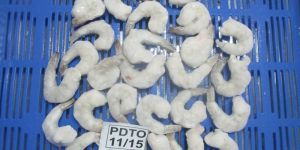 Frozen PDTO Vannamei Shrimps
